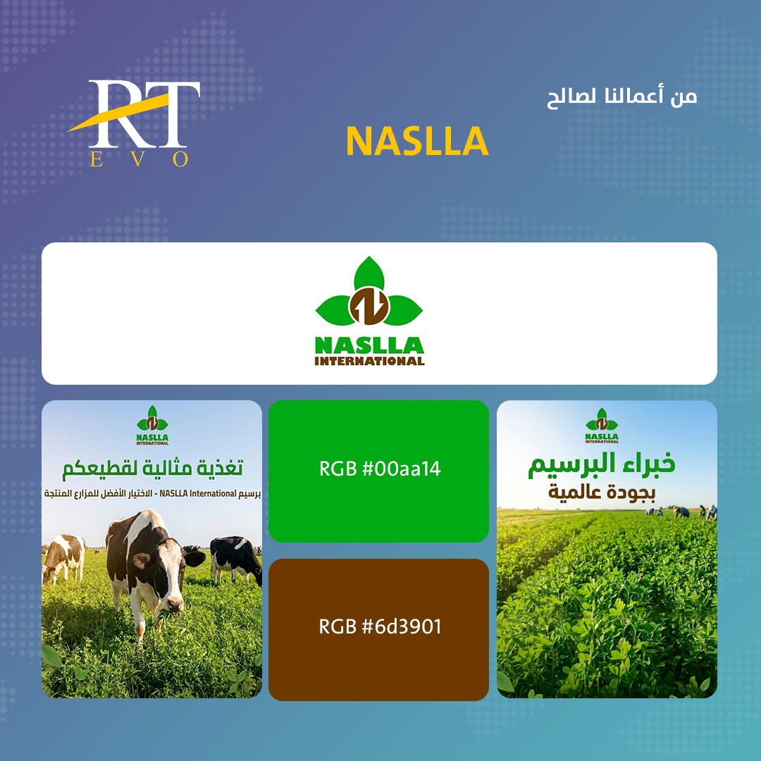 نقدم حلول ذكية وتقنية لانشاء هويتك البصرية